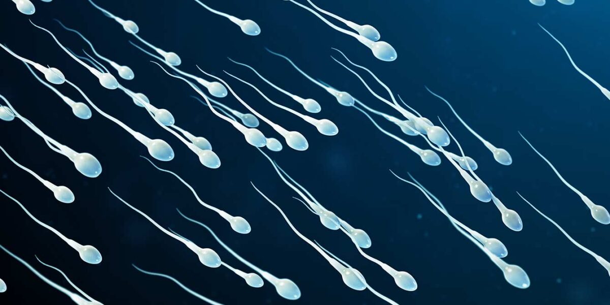 Meni Nedir? Meni ile Sperm Arasında Fark Var mı?